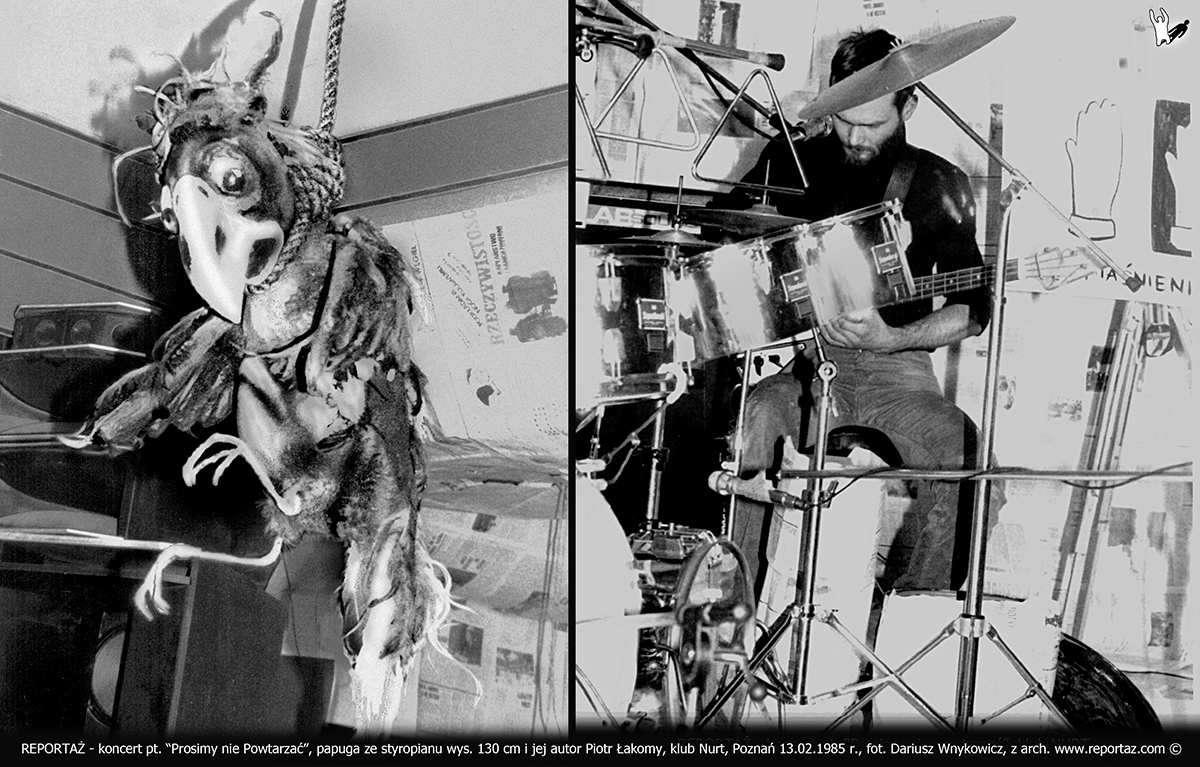Koncert grupy, zespołu Reportaż pt. "Prosimy nie powtarzać" w klubie Nurt w Poznaniu przy ul. Dożynkowej 9 dnia 29 października 1986 roku. Na zdjęciu rzeźba papugi autorstwa Piotra Łakomego.