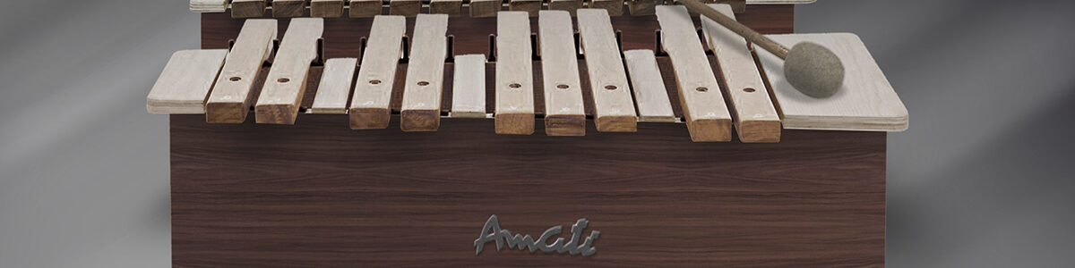 zespół Reportaż, Andrzej Karpiński, ksylofon altowy, pudełkowy Amati używany od maja 1986 roku przez Piotra Łakomego i Pawła Palucha.