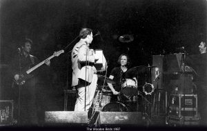 The Wooden Birds 1987