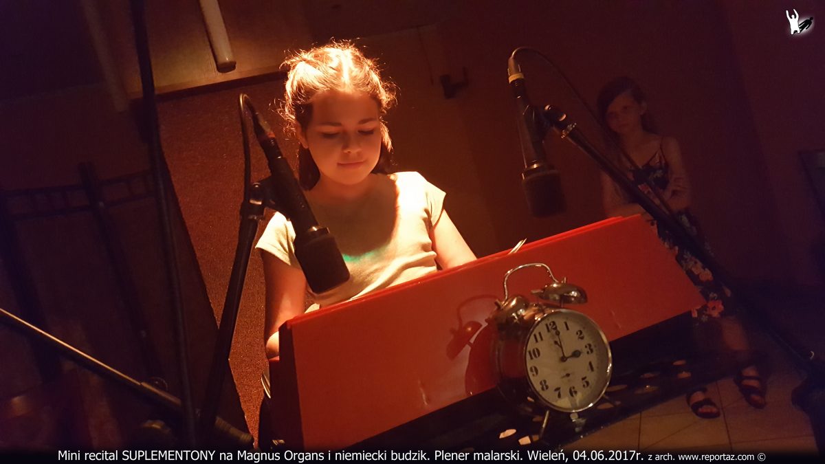 Suplementony, recital Andrzeja Karpińskiego, plener malarski Wieleń 2017
